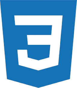 CSS